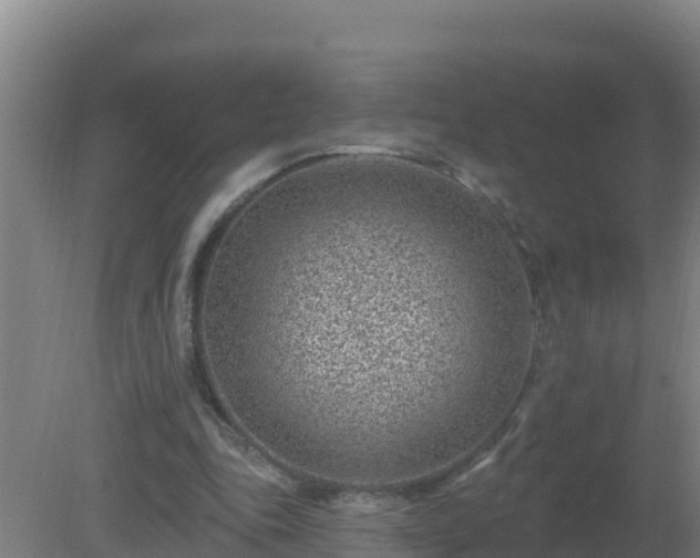 X0000080200343200612152046