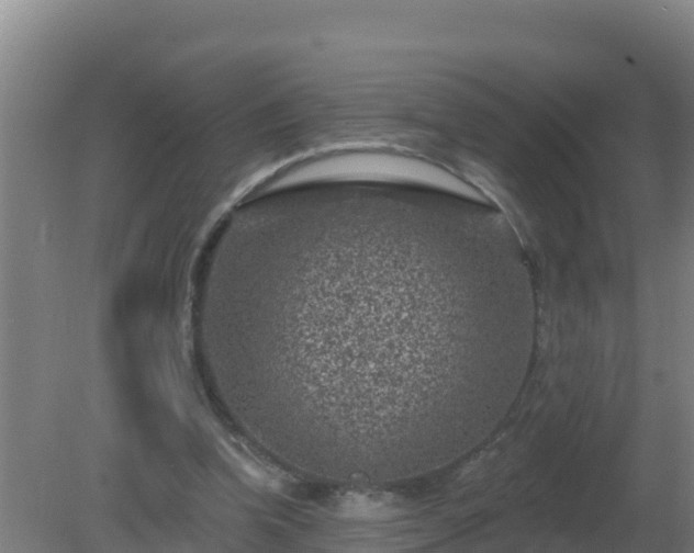 X0000080200346200612152046