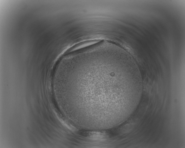 X0000080200347200612152046