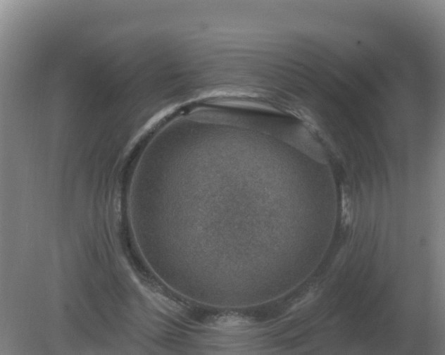 X0000080200348200612152046