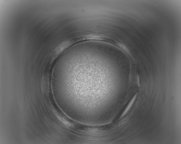 X0000080200349200612152046