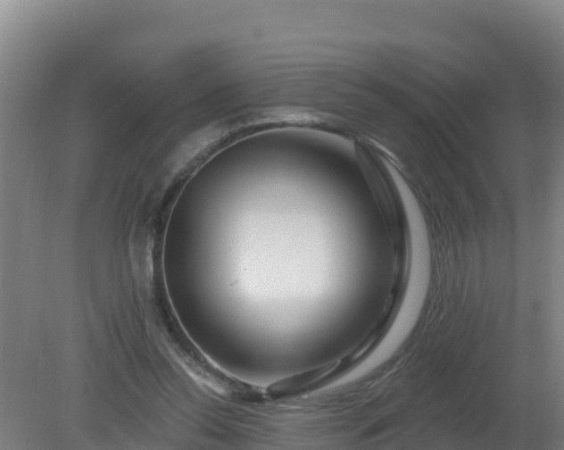 X0000080200350200612152046