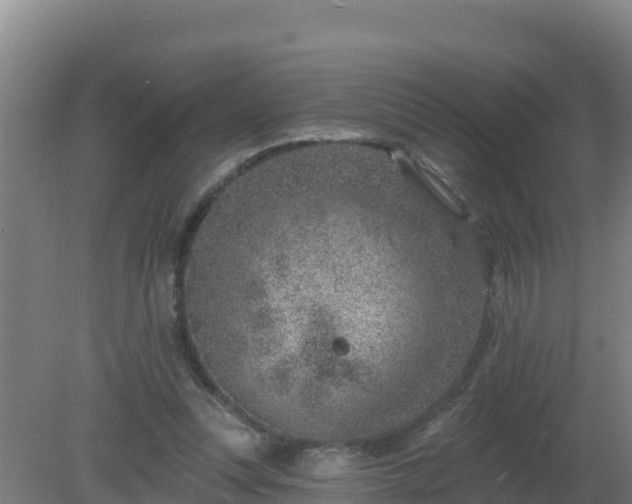 X0000080200351200612152046