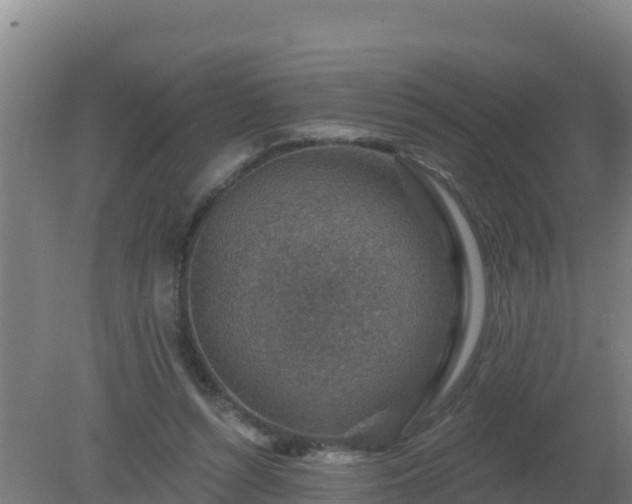 X0000080200352200612152046