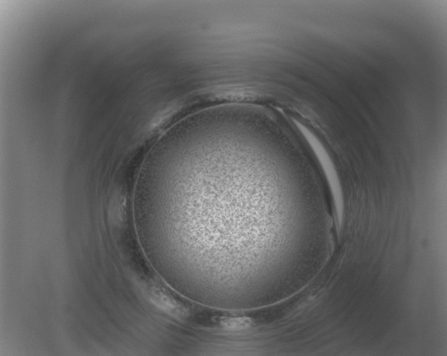 X0000080200355200612152046