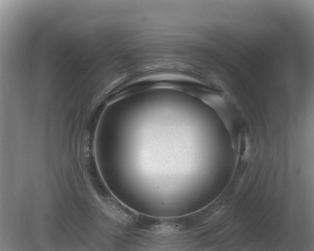 X0000080200356200612152046