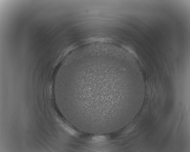 X0000080200357200612152046