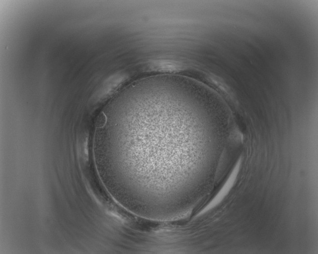 X0000080200358200612152046