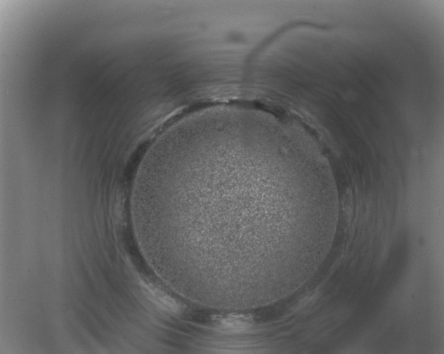 X0000080200359200612152046