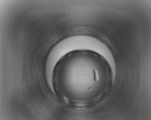 X0000080200362200612152046