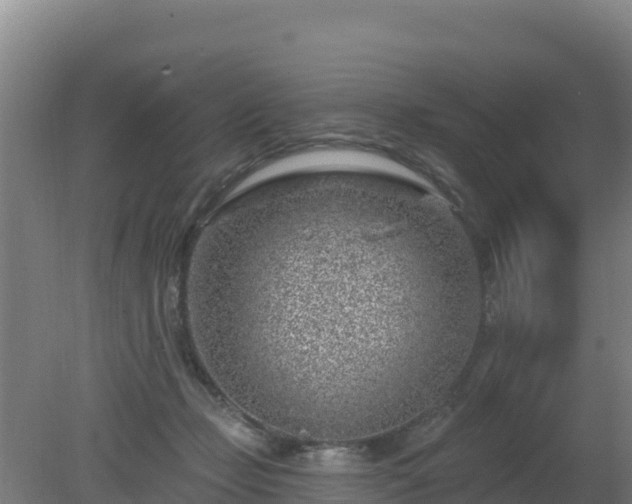 X0000080200365200612152046