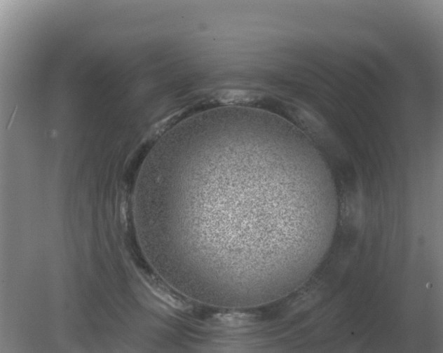 X0000080200367200612152046