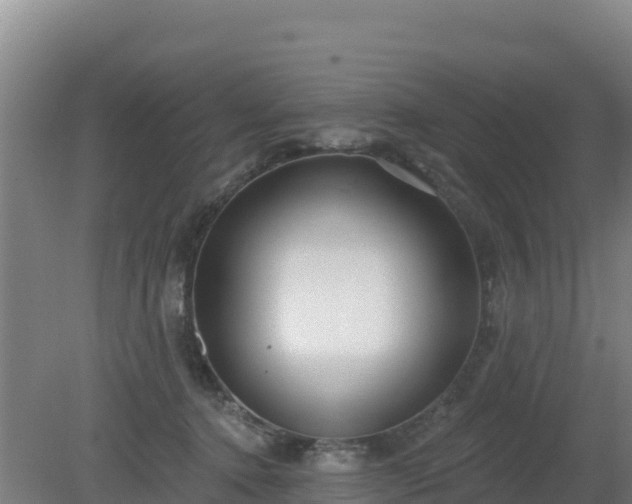 X0000080200368200612152046