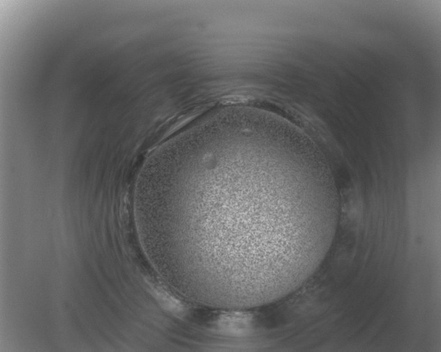 X0000080200369200612152046