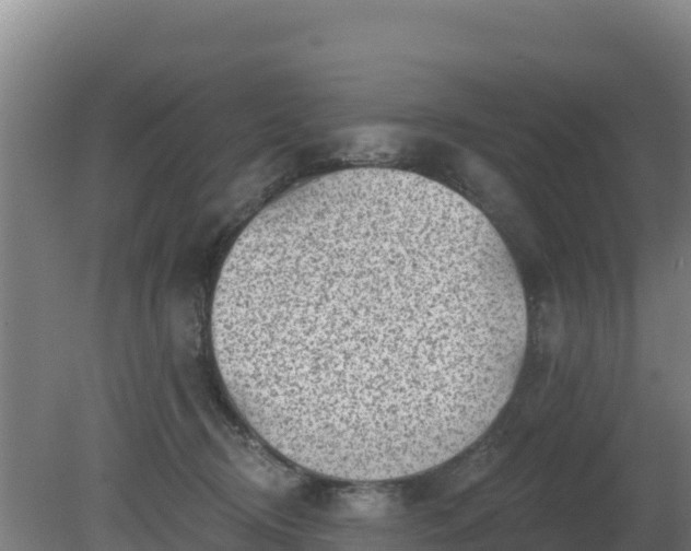 X0000080200370200612152046