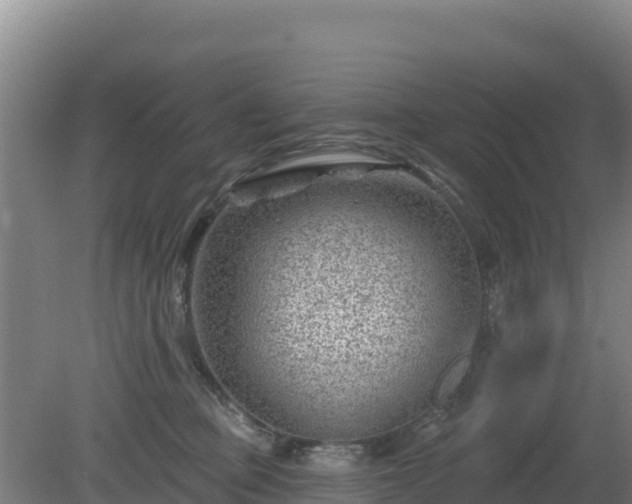 X0000080200373200612152046