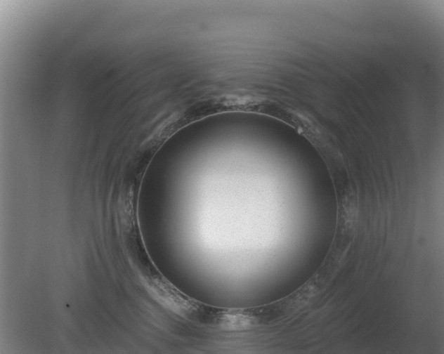 X0000080200376200612152046