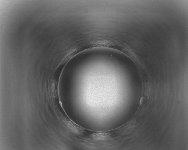 X0000080200378200612152046