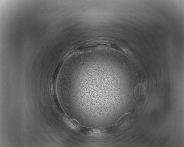 X0000080200381200612152046