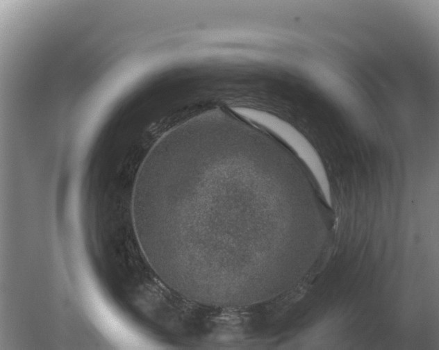 X0000080200383200612152046