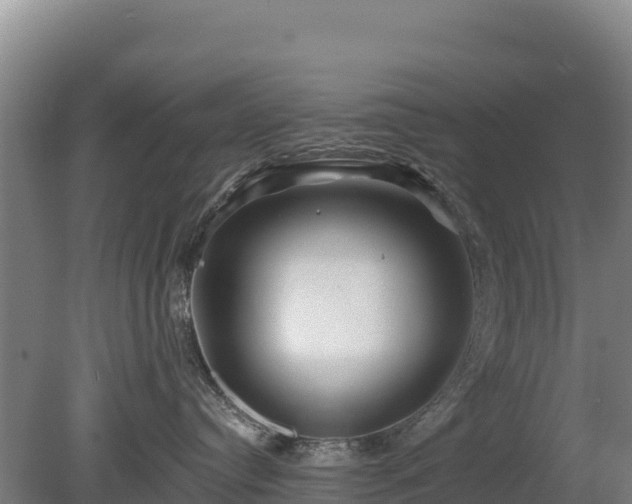 X0000080200384200612152046