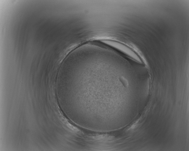 X0000080200385200612152045