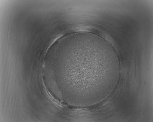 X0000080200386200612152045