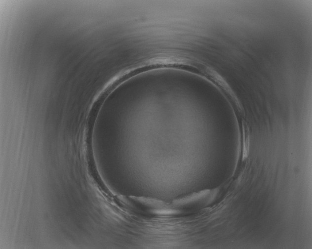 X0000080200387200612152045