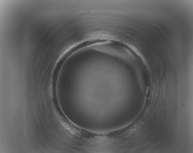 X0000080200391200612152045