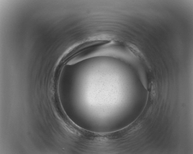 X0000080200392200612152045