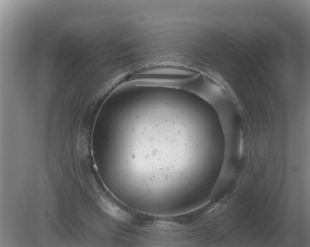 X0000080200393200612152045