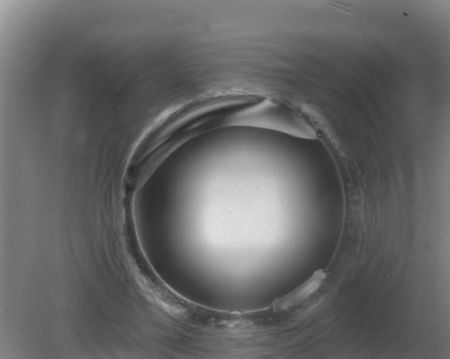 X0000080200395200612152045