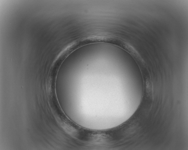 X0000080200396200612152045