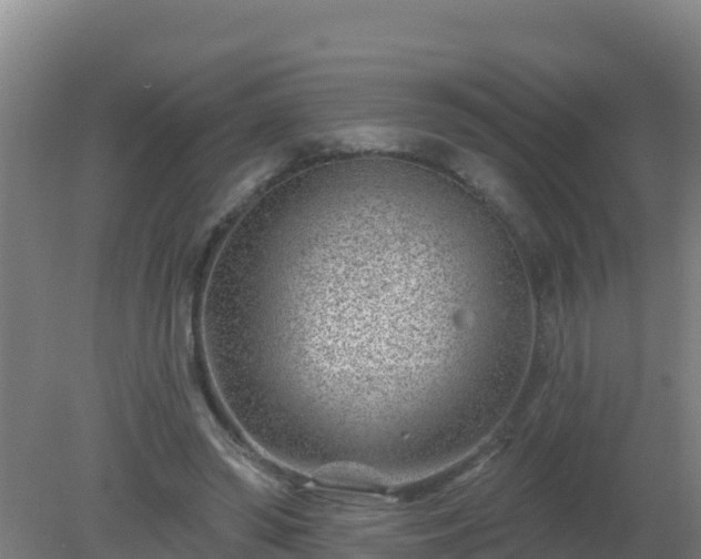 X0000080200398200612152045