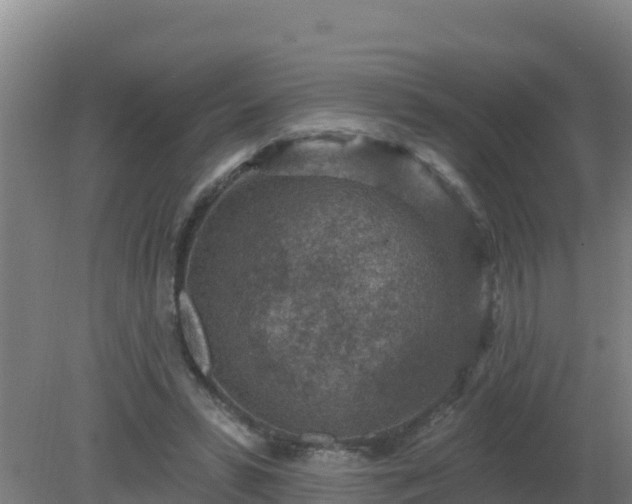 X0000080200399200612152045