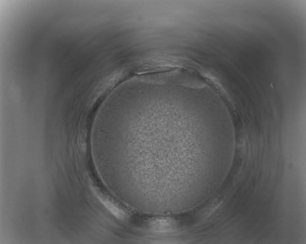 X0000080200402200612152045