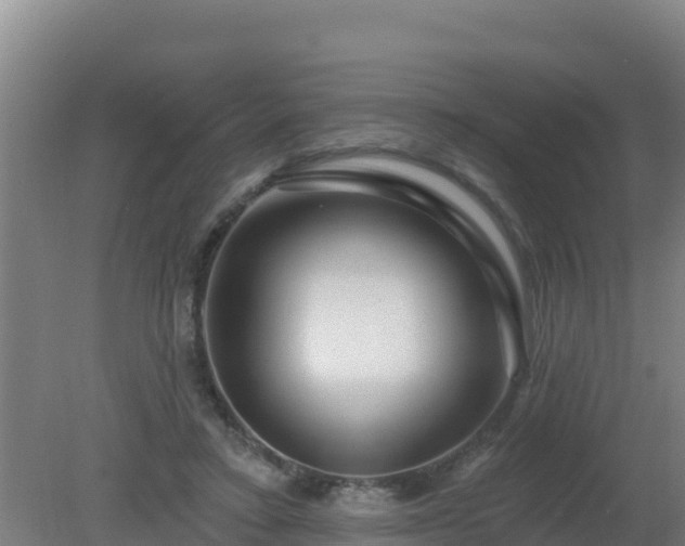 X0000080200403200612152045