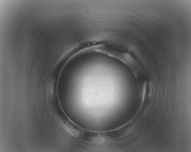 X0000080200404200612152045