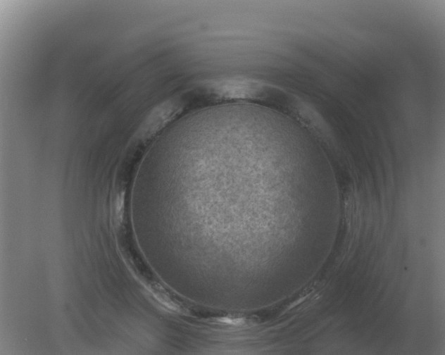 X0000080200406200612152045