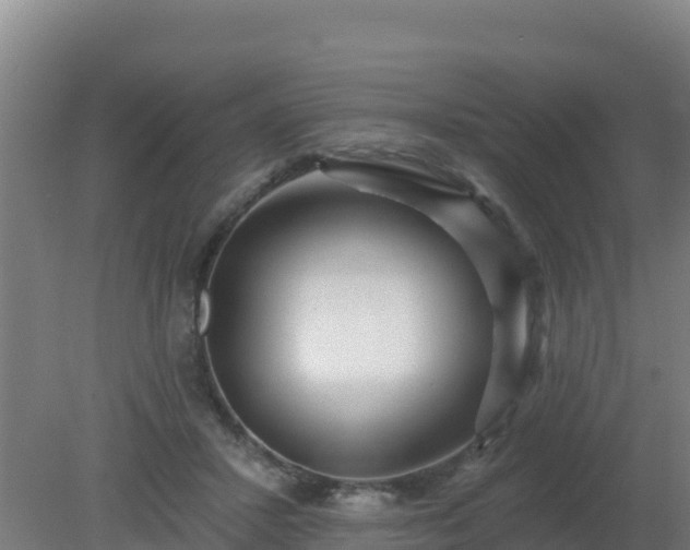 X0000080200407200612152045