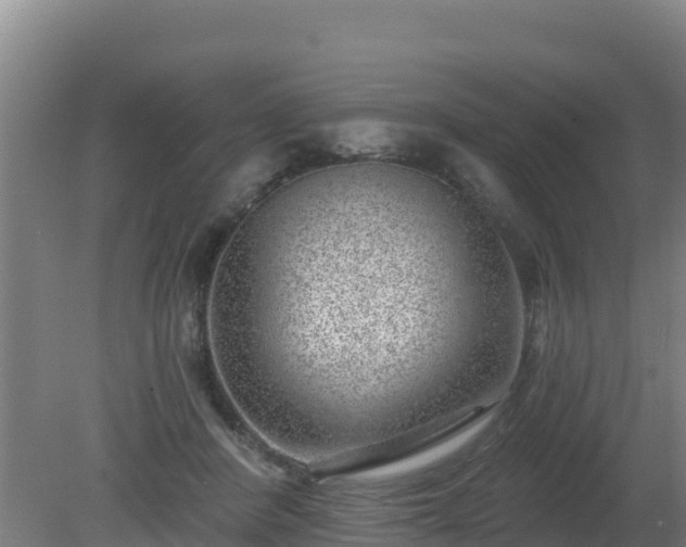 X0000080200408200612152045