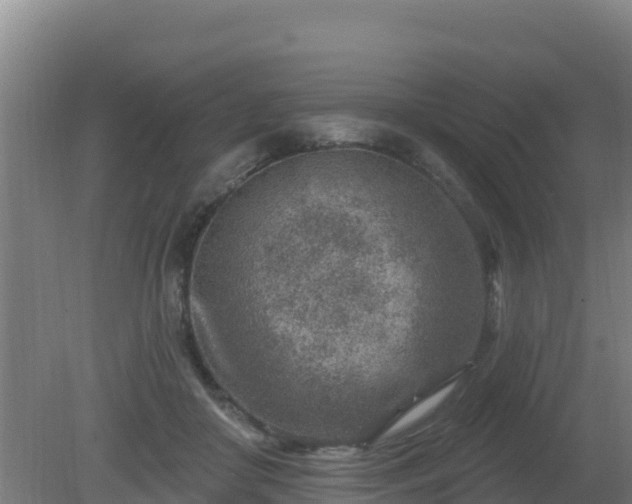 X0000080200410200612152045