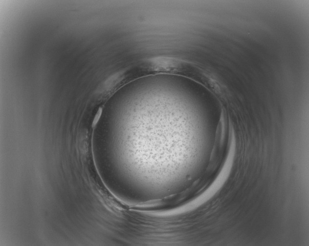 X0000080200413200612152045