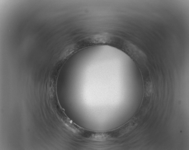 X0000080200414200612152045