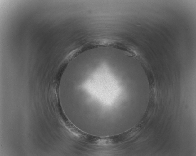 X0000080200415200612152045