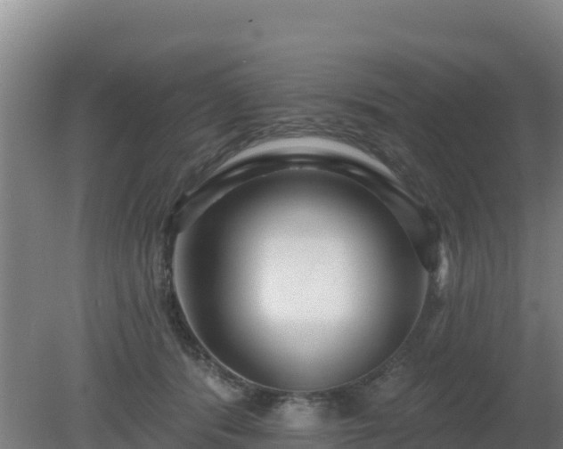 X0000080200416200612152045