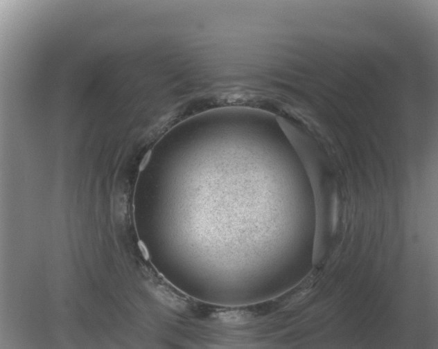 X0000080200417200612152045