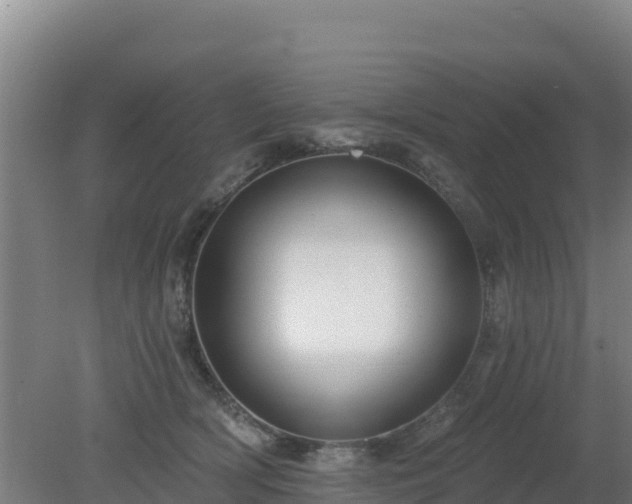 X0000080200418200612152045