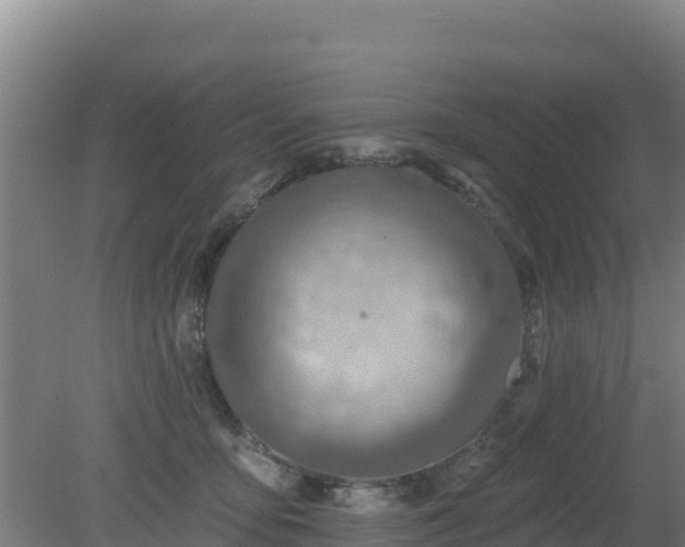 X0000080200419200612152045