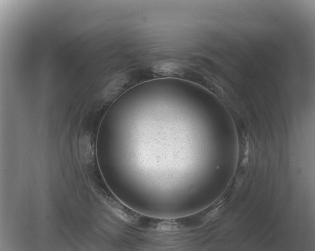 X0000080200420200612152045